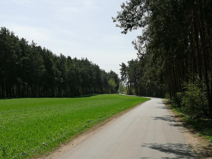 Droga przez pola i las