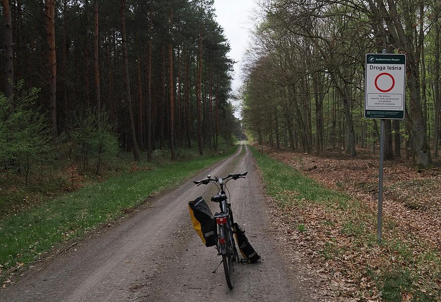 Szutrówka w kierunku Kunowic
