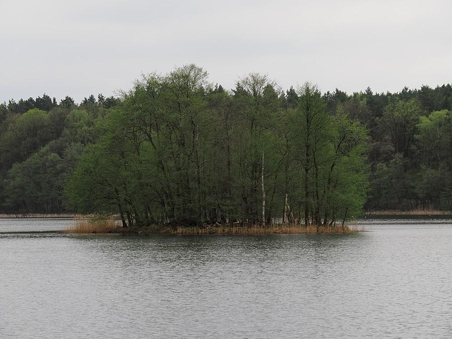 Wyspa na Jeziorze Linie
