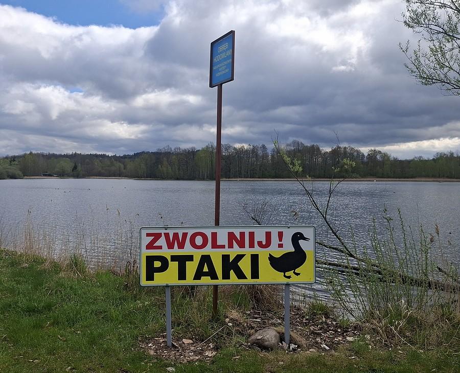 Ptaki do zwolnienia :)