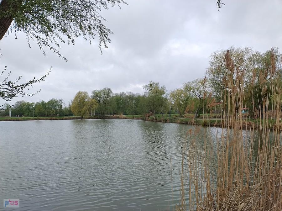 Staw w Zielonkach