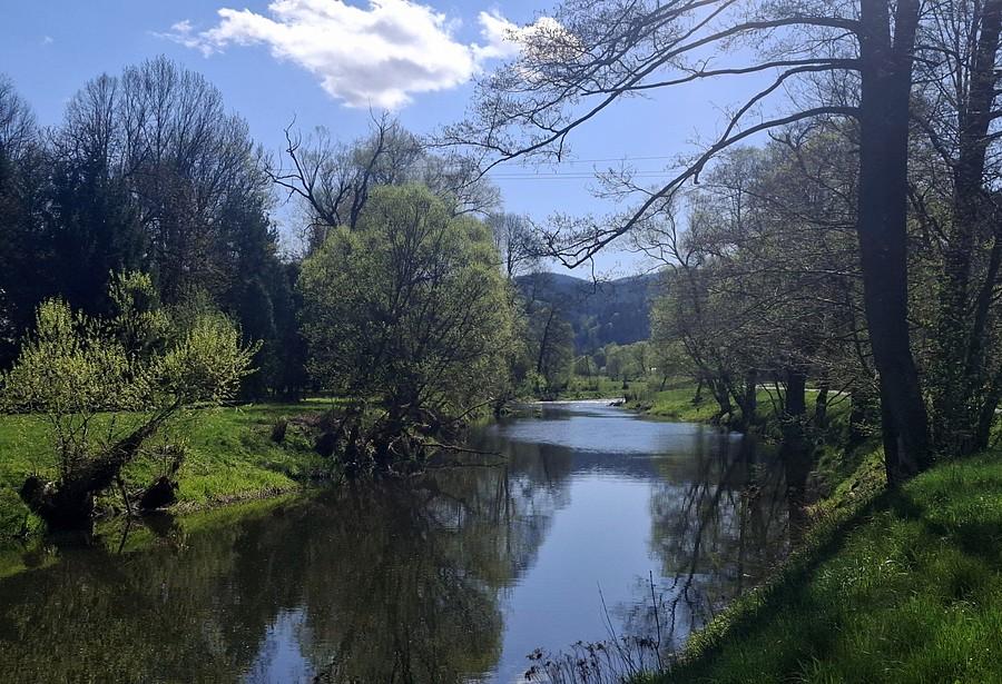 Bobrowy landszafcik