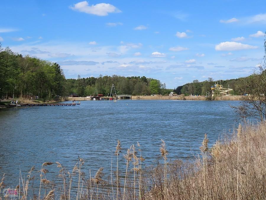 Staw w Zalesiu Górnym