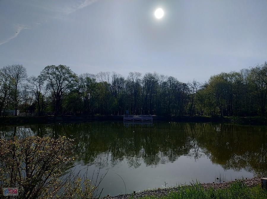 Staw w Ołtarzewie