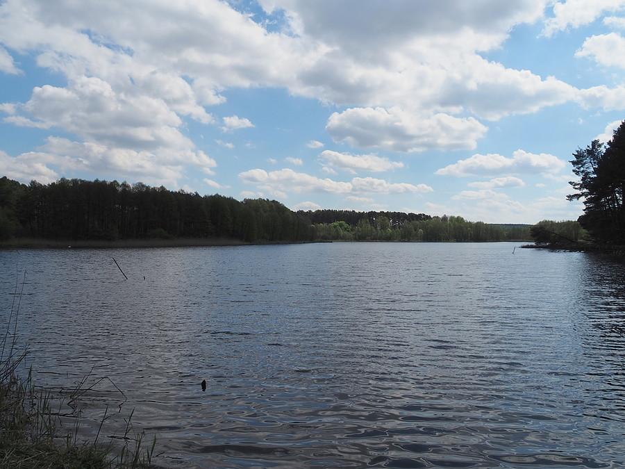 Staw Ośniański