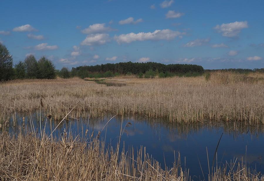 Staw Ośniański