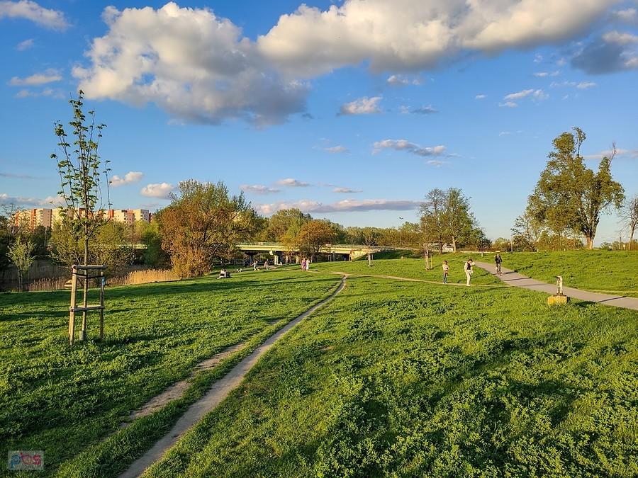 Późne popołudnie w Dolince Służewskiej