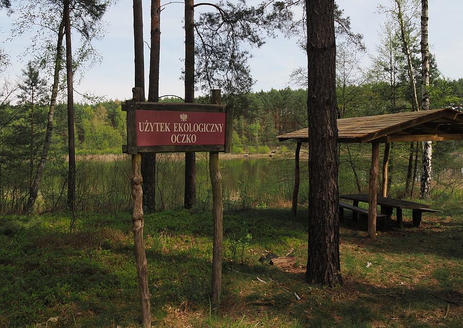 Użytek ekologiczny "Oczko"