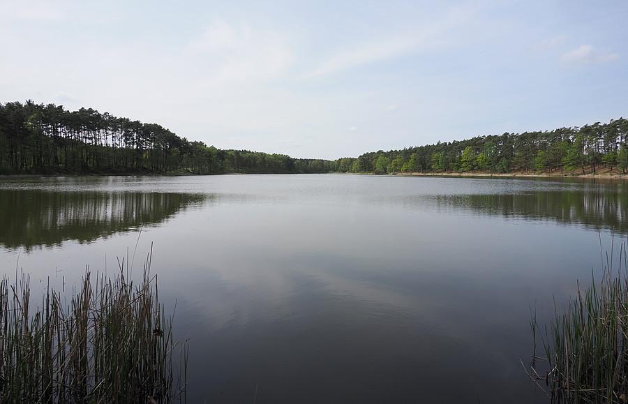 Jezioro Rzepsko