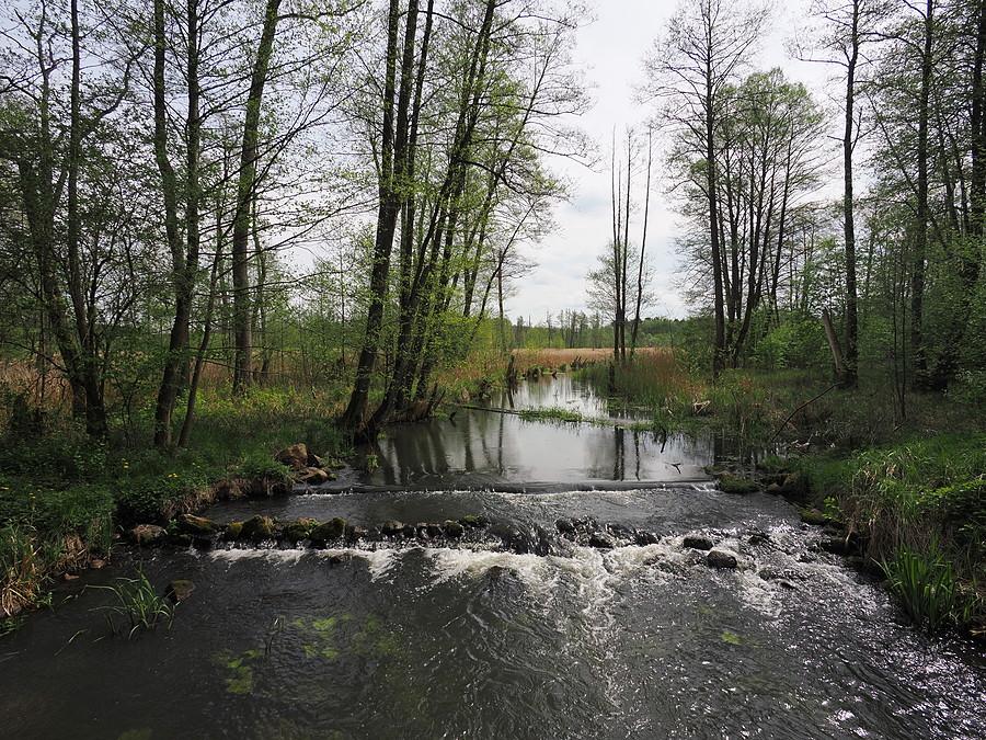 Ilanka za Starościnem