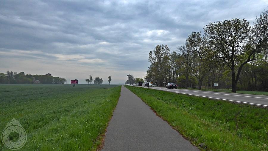 droga krajowa na NDGdański