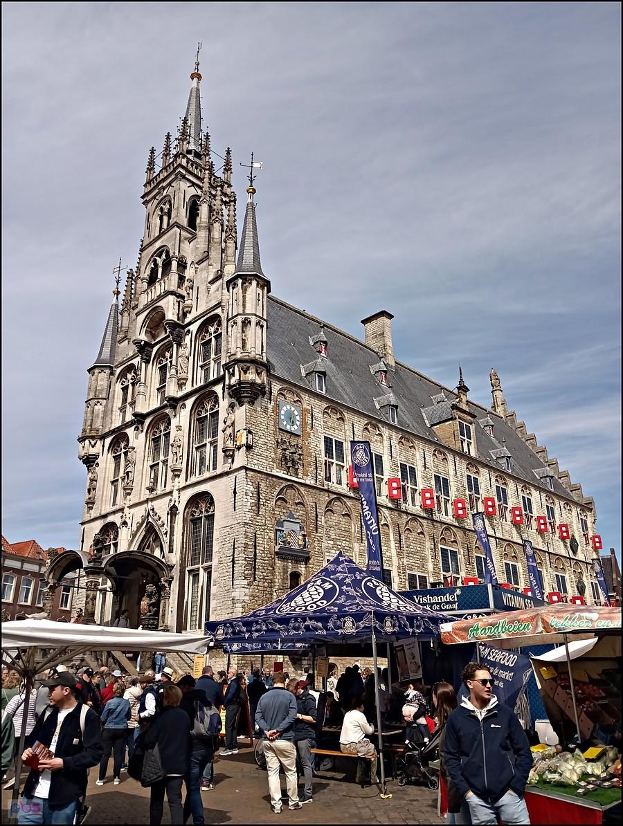 gouda rynek