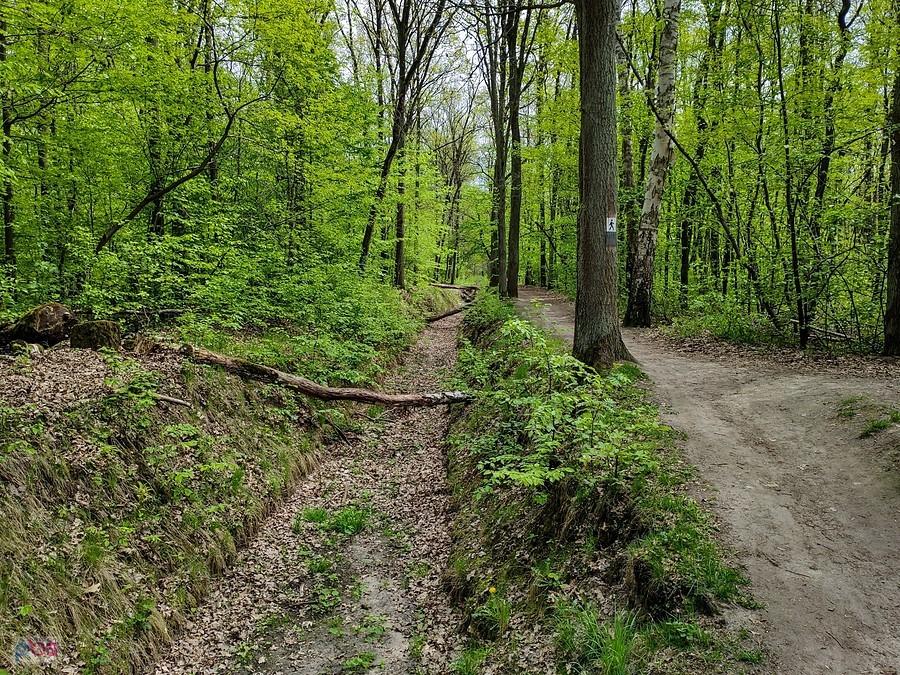 W Rowie Grabowskim już od dawna nie ma wody