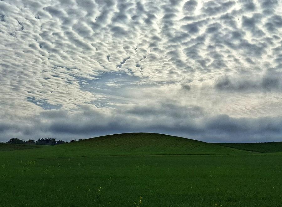 Cirrocumulusowy Windows XP