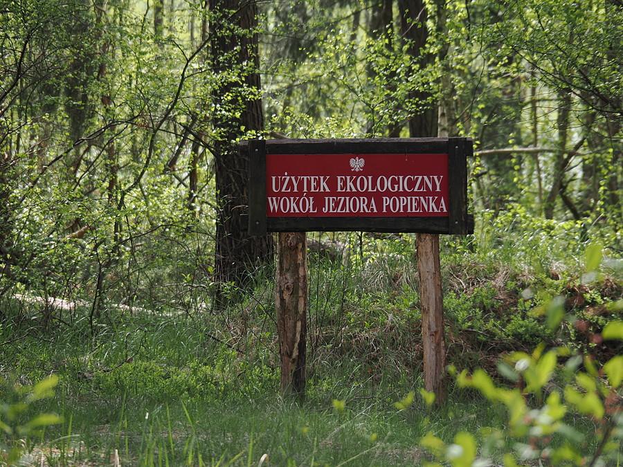 Użytek ekologiczny wokół Jeziora Popienka