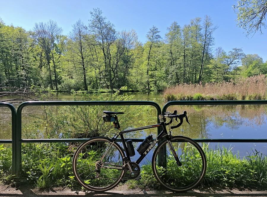 Rowerówka z zielonej Dębiny