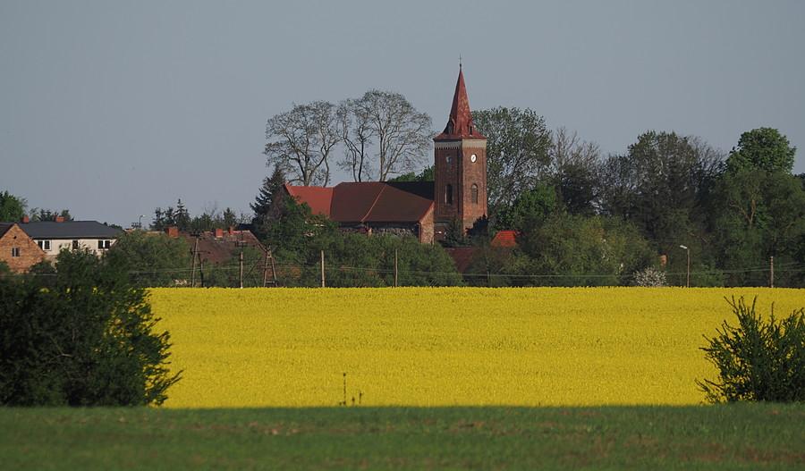 Rzepakowy widok na Drzeńsko