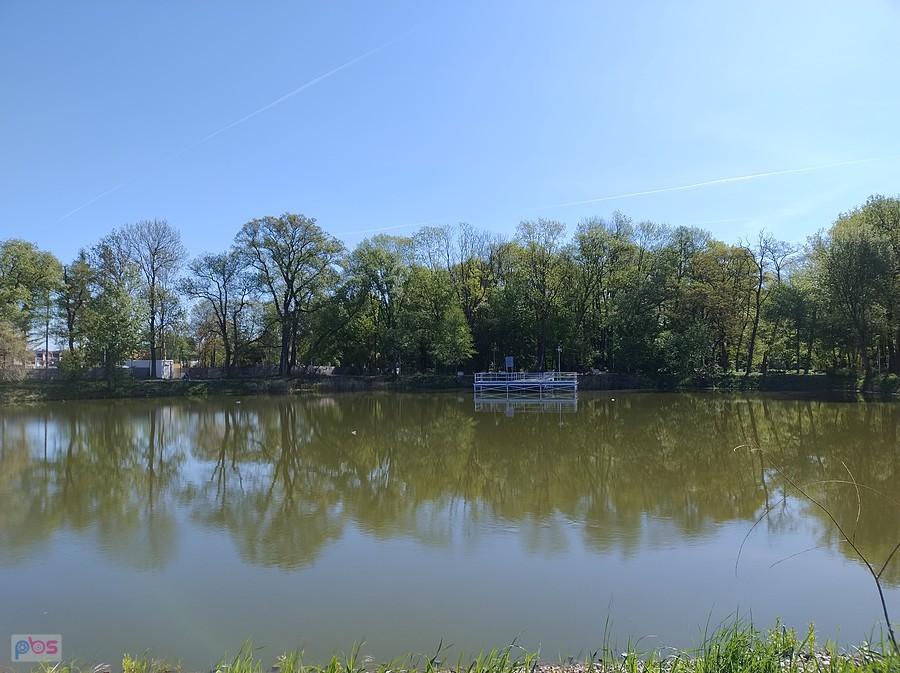 Staw w Ołtarzewie