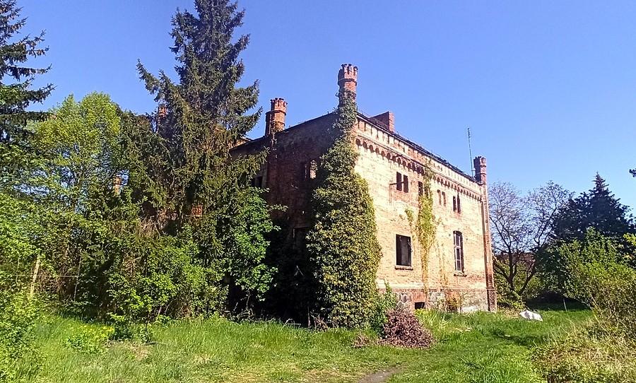 Pałac w Siedlnicy