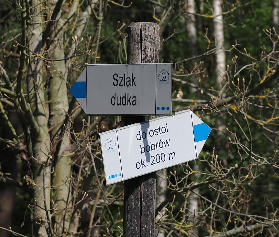 Jadę szlakiem Dudka