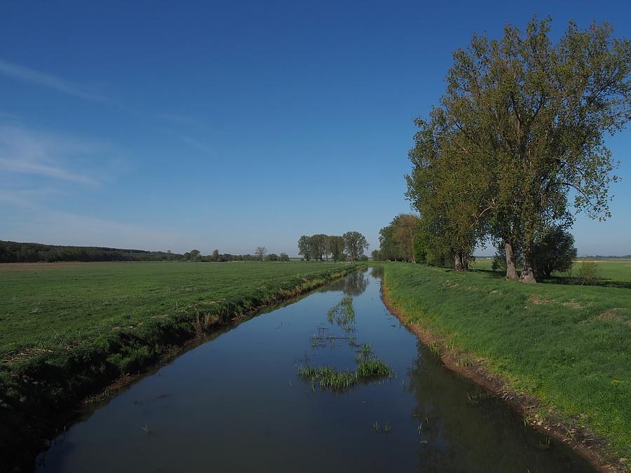 Racza struga, dopływ Warty