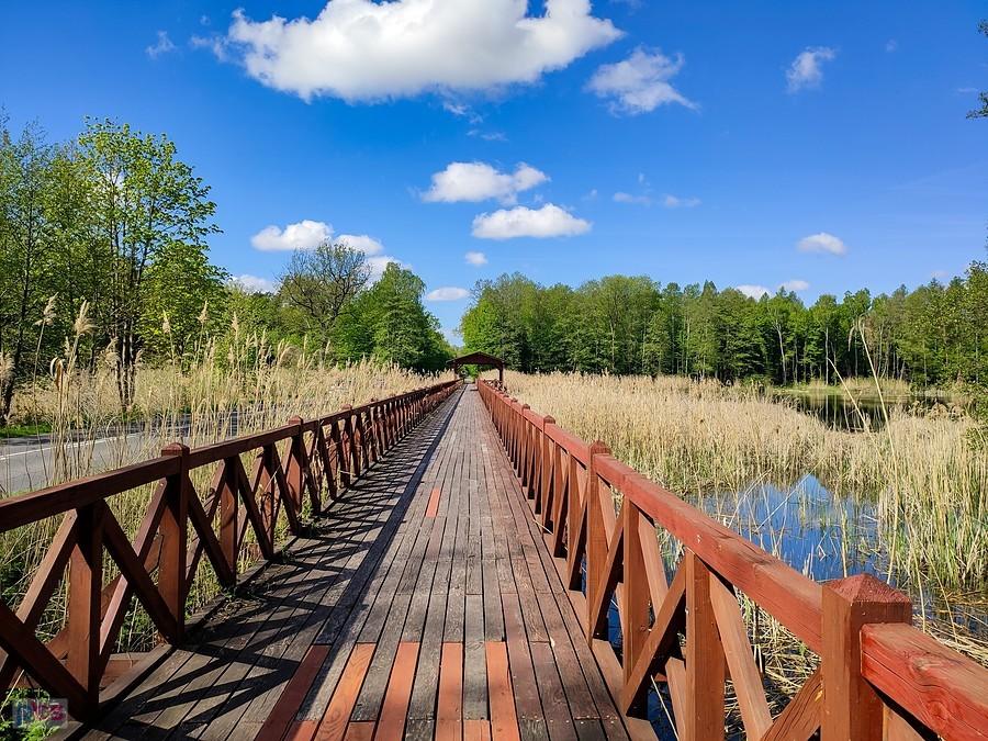 DDR-ka wzdłuż leśnego stawu Balaton