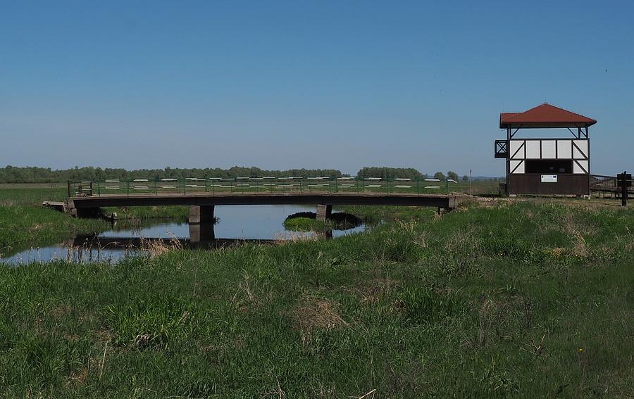 Most Wysokińskiego, początek ścieżki przyrodniczej