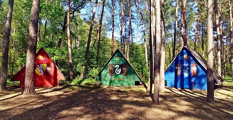 Obóz harcerski nad jeziorem Ośno.