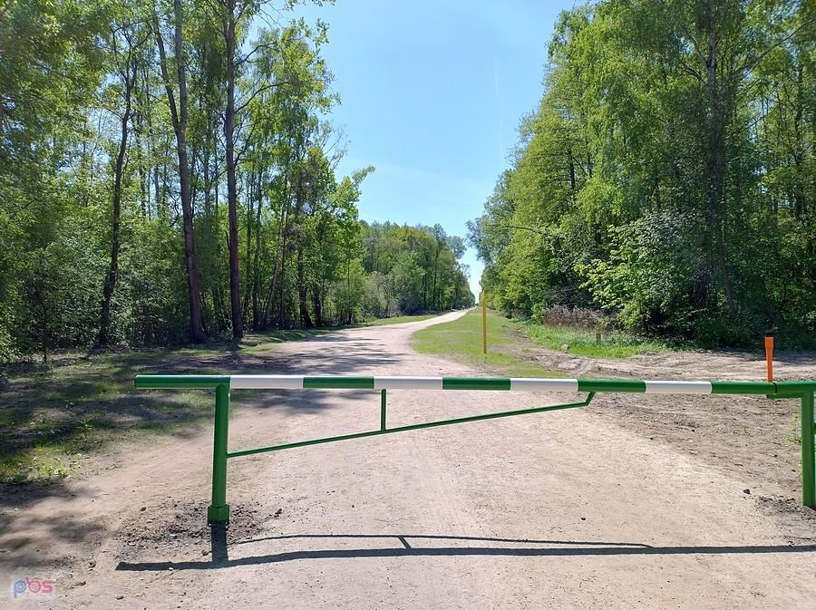 Droga przez las zagrodzona szlabanem. Rowerem trzeba przejeżdżać bokiem
