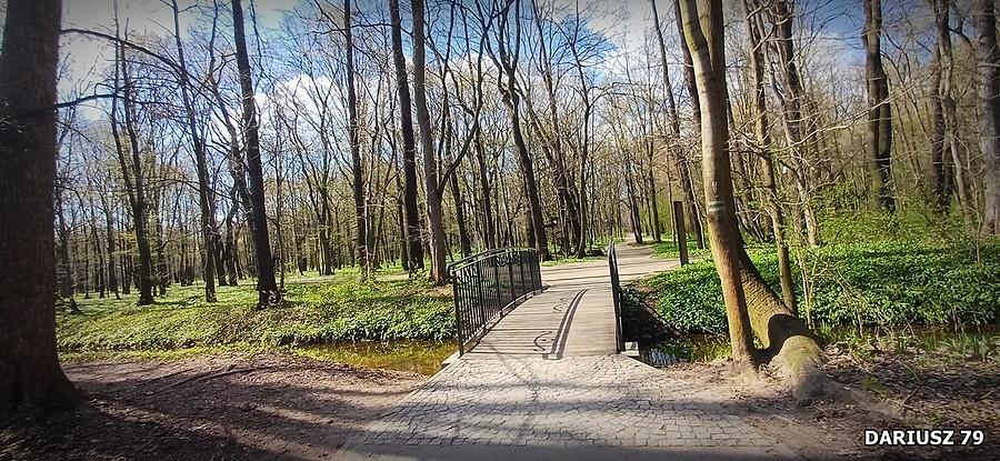 Dąbrowa Górnicza - Park Zielona