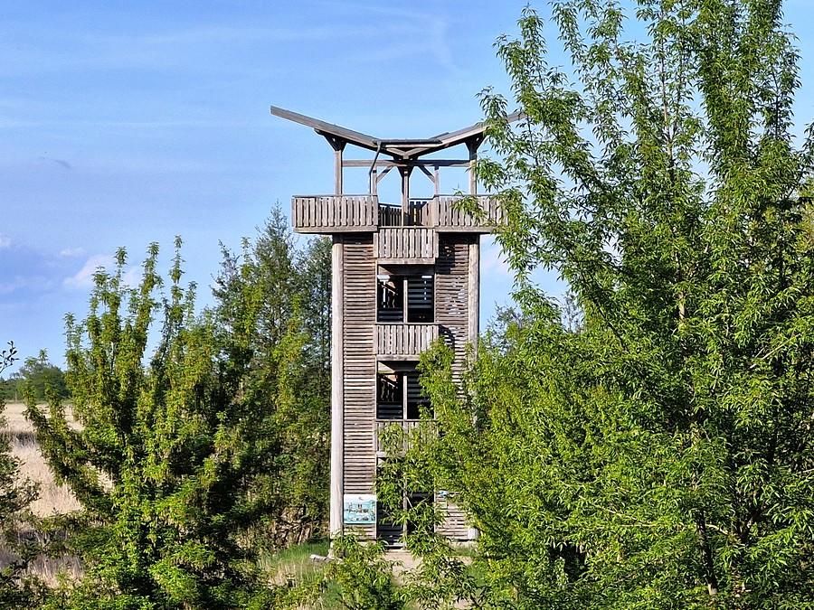 Wieża widokowa na granicy polsko-niemieckiej