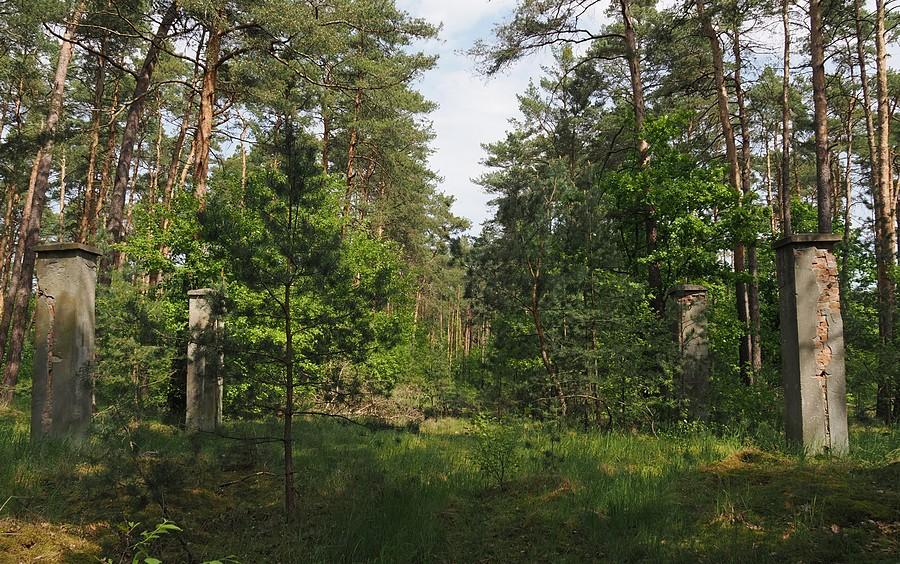 Betonowe słupy bramy wjazdowej obozu pracy Grundheide