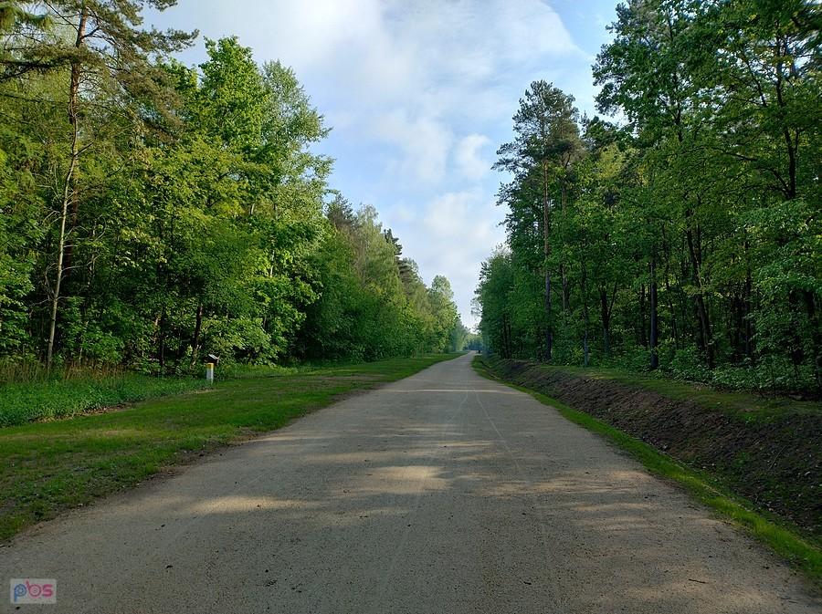 Droga przez las nasiąknięta wodą, więc jechało się wolniej