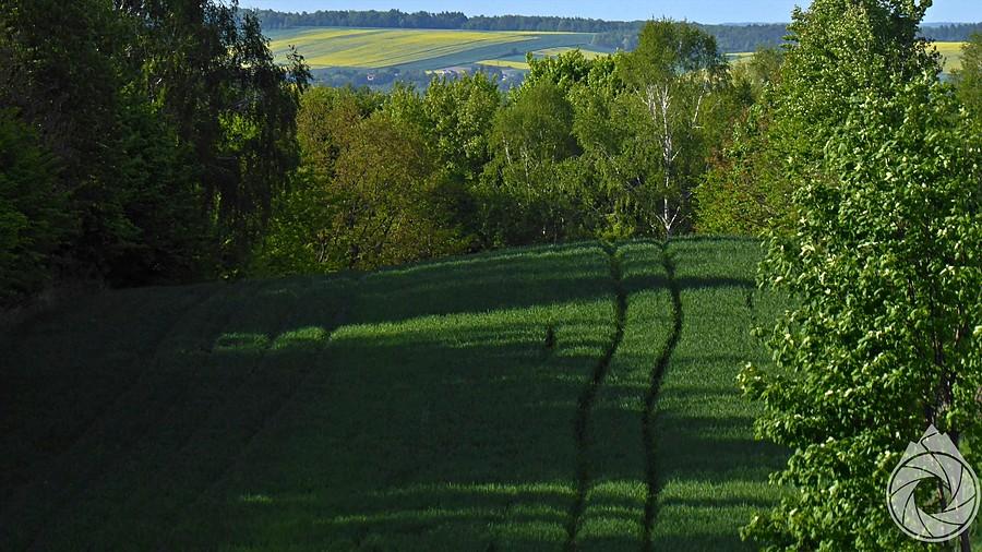 pola Roztocza
