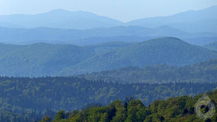 widok na wyższe Bieszczady