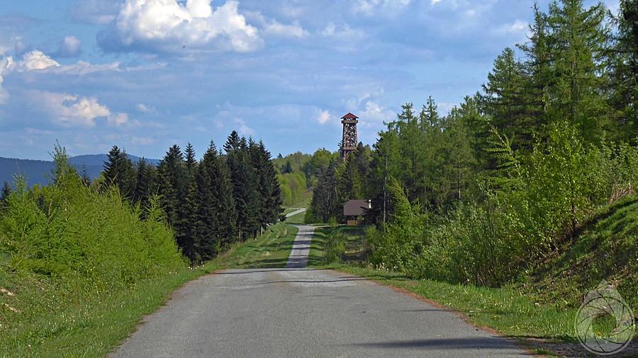 wieża widokowa na Żukowie