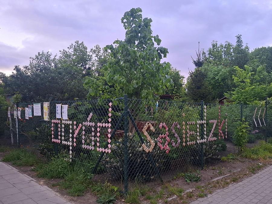 Ogród sąsiedzki na poznańskim Dębcu