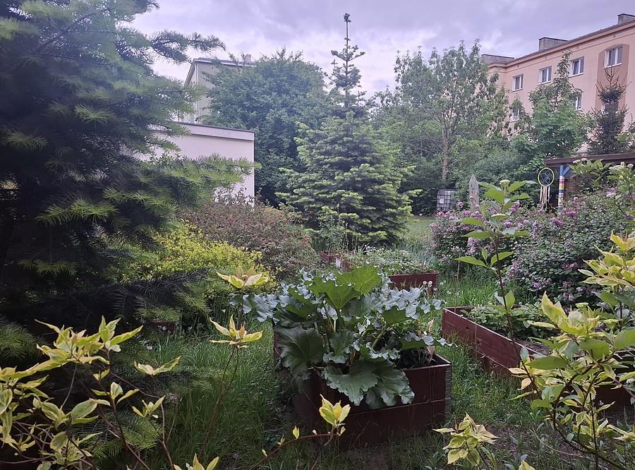 Wnętrze ogrodu sąsiedzkiego
