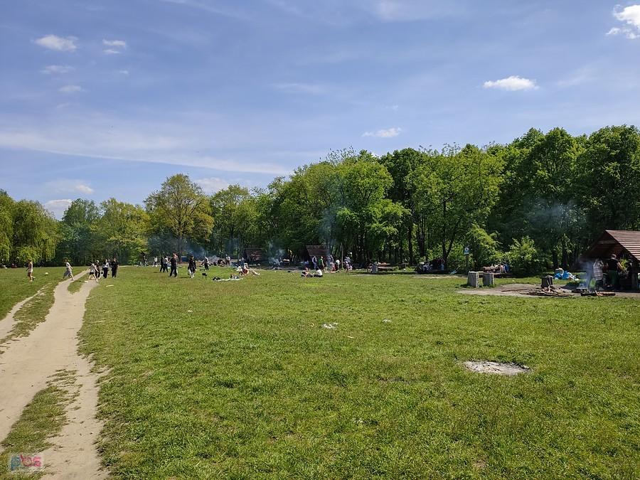 Polana w Lesie Kabackim - oprawa grillowo-ogniskowa w majowy weekend była skromna