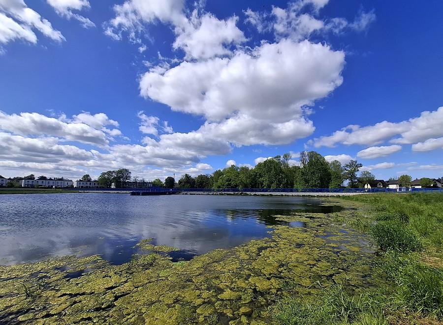 Widok z tuleckiego zalewu