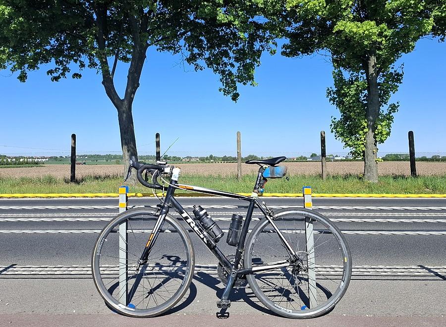 Rowerówka międzydrzewna