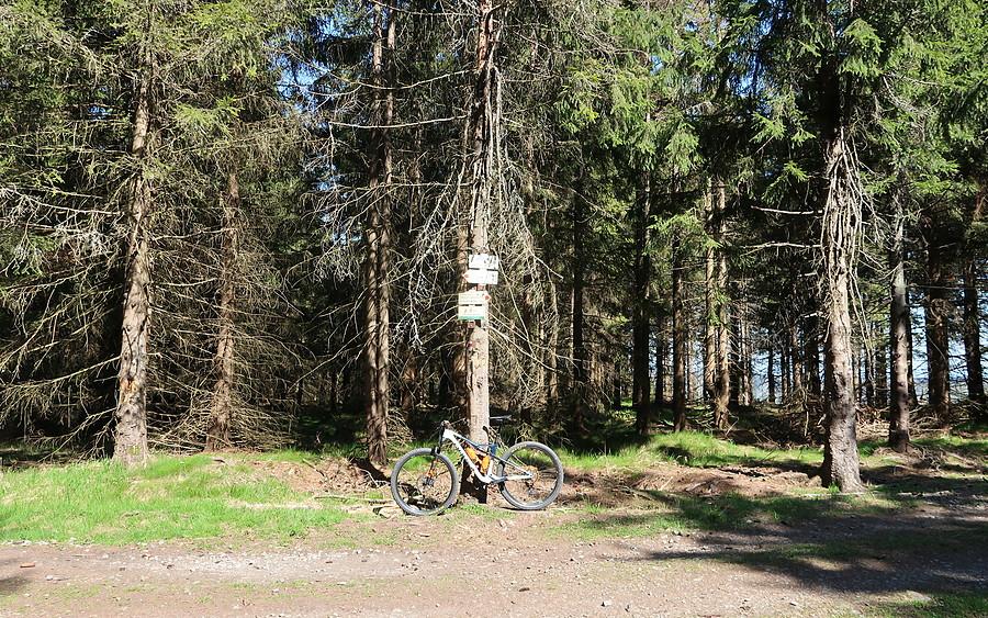 Niewyróżniający się Pricny Vrch (975m) kolejny raz zaliczony