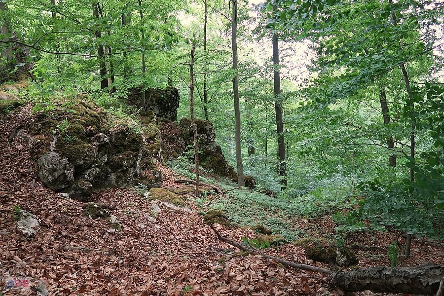 W Sokolich Górach