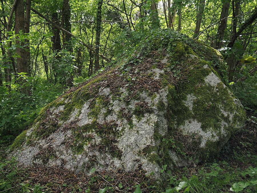 Głaz narzutowy w Gajcu