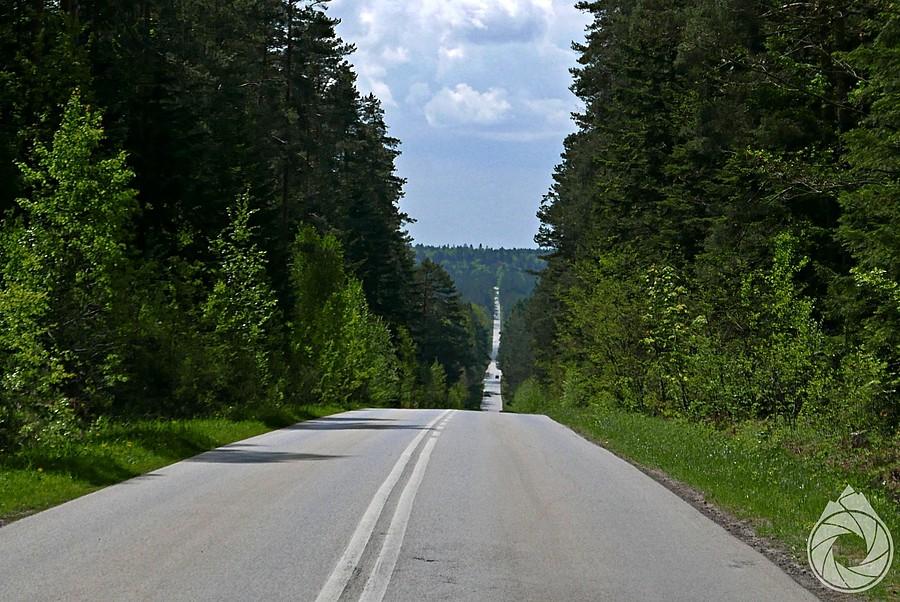 prościutkie szosy na Samsonów