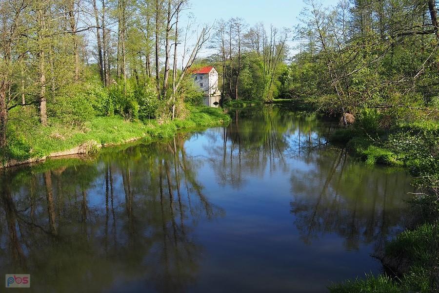 Czarna Nida