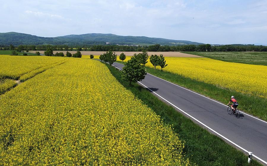 W takich wiosennych klimatach to tylko pomykać :)
