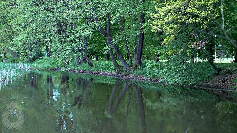 romantyczny staw w Jasienicy Rosielnej