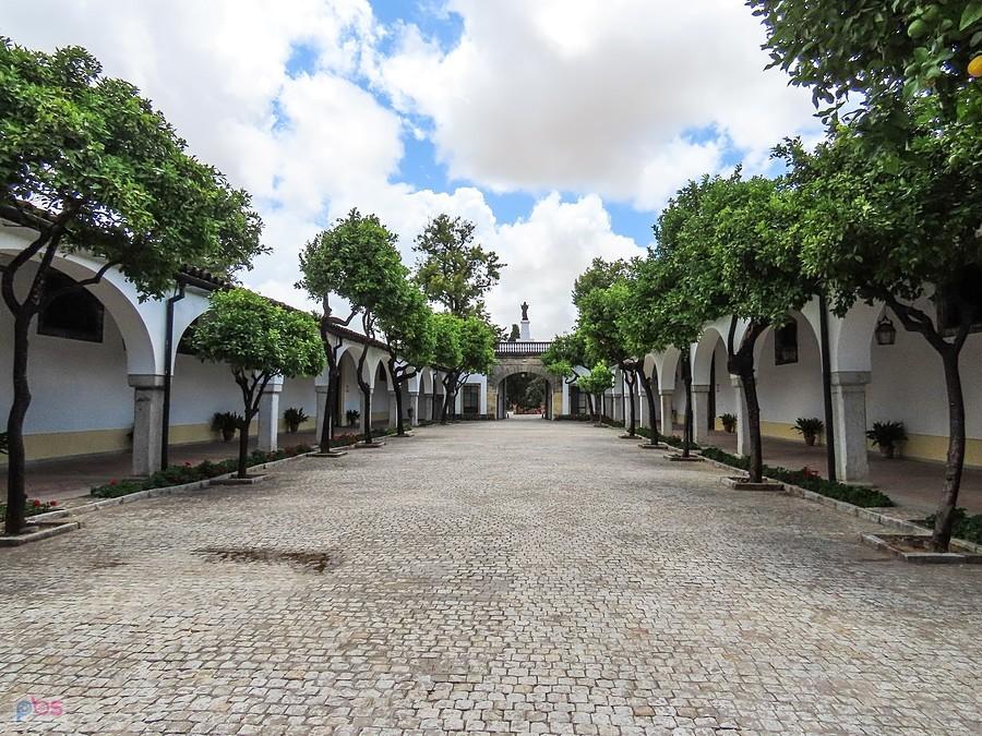 Drzewka pomarańczowe i wszechobecny zapach sherry
