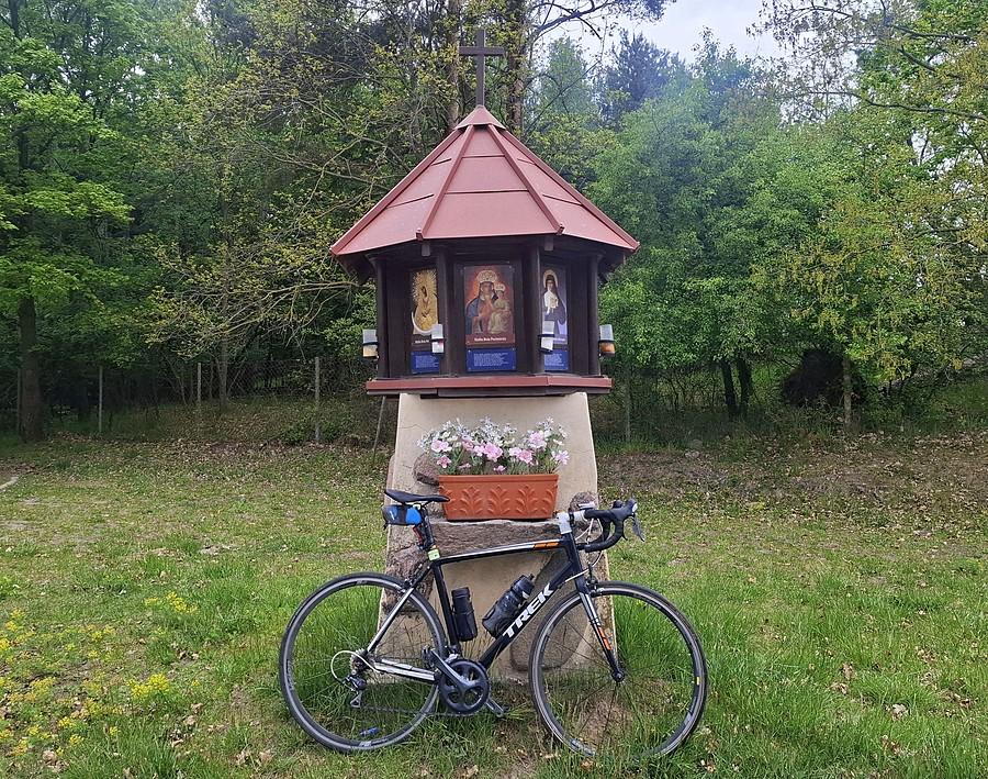 Kapliczka w Dębogórze